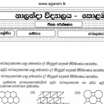 Mathematics | Nalanda College | Unit Exam Paper – 30 | Grade 08 | Sinhala Medium
