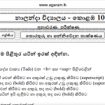 ICT | Nalanda College | Unit Exam Paper – 05 | Grade 11 | Sinhala Medium