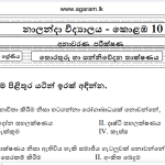 ICT | Nalanda College | Unit Exam Paper – 06 | Grade 11 | Sinhala Medium